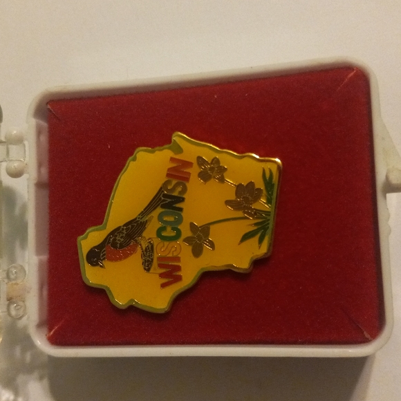 Pin - Picture 1 of 4